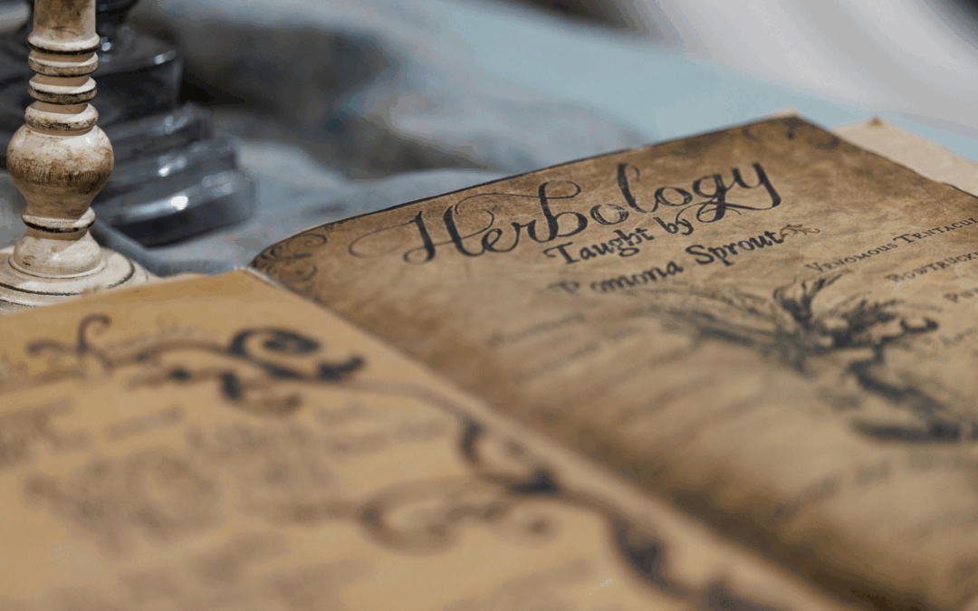 How to Keep a Sacred Grimoire or Book of Shadows the Modern Way!